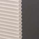 Eaglet Beige